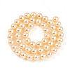 UV Plating Pearlized Glass Pearl Beads Strands GLAA-F128-01B-T6-3