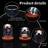   8 Sets 2 Style Iridescent Glass Dome Cover DJEW-PH0001-25-4