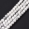 Natural Howlite Beads Strands G-E571-29A-3