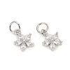 Brass Micro Pave Cubic Zirconia Charms ZIRC-L096-10P-1