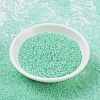 MIYUKI Round Rocailles Beads SEED-JP0008-RR0218-2