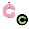 Luminous Resin Pendants X1-RESI-I059-C01-1