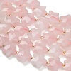 Natural Rose Quartz Beads Strands G-L657-A06-01-4