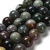 Natural Indian Agate Beads Strands G-G175-A06-01-2