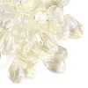 Transparent Glass Beads DGLA-N022-02-2