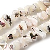 Natural Trochid Shell/Trochus Shell Beads Strands SHEL-B003-02J-1