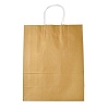 Pure Color Kraft Paper Bags LS-AJEW-G020-D-06-1