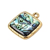304 Stainless Steel & Natural Paua Shell Pendants SH-CBA7184-01G-G-2