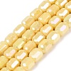 Anti-Tarnish Electroplate Glass Beads Strands EGLA-N027-03A-08-1