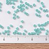 MIYUKI Delica Beads X-SEED-J020-DB1136-4