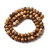 Natural Picture Jasper Beads Strands G-P587-D12-02-3