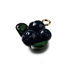 Brass Acrylic Pendants OACR-R006-01G-09-2