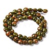 Natural Unakite Beads Strands G-T047-A21-01-3