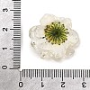 Transparent Resin Cabochons RE-CBA7537-01A-3