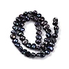 Natural Cultured Freshwater Pearl Beads Strands PEAR-L033-42D-01-3