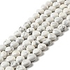 Natural Howlite Beads Strands G-B022-09B-1