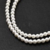 Electroplated Shell Pearl Beads Strands BSHE-K017-2.5mm-3