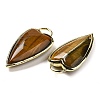 Natural Tiger Eye Pendants G-K347-01G-08-2