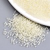 8/0 Glass Seed Beads SEED-A014-3mm-134-1