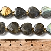 Natural Labradorite Beads Strands G-B044-B21-01-5