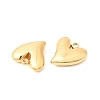 304 Stainless Steel Charms STAS-P441-02G-2