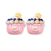 Opaque Resin Cake Decoden Cabochons CRES-A051-01F-1