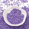 Baking Paint Glass Seed Beads SEED-S042-15B-32-2