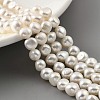 Natural Cultured Freshwater Pearl Beads Strands PEAR-A006-07H-X-1