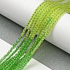 Transparent Gradient Color Glass Beads Strands GLAA-H021-01A-40-5