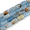 Natural Blue Calcite Beads Strands G-G980-53A-2