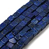 Natural Lapis Lazuli Beads Strands G-F631-K28-1