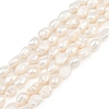 Natural Cultured Freshwater Pearl Beads Strands PEAR-P064-20H-02A-2