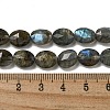 Natural Labradorite Beads Strands G-P544-D06-01-5