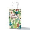 Christmas Theme Kraft Paper Gift Bags CARB-L009-A06-2