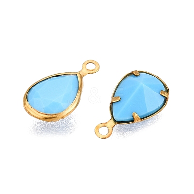 K9 Glass Charms GLAA-T023-10D-1