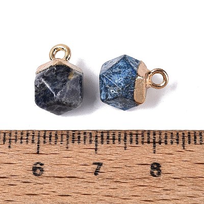 Natural Blue Spot Jasper Pendants G-N359-18G-06-1