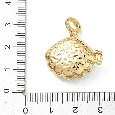 Brass Micro Pave Clear Cubic Zirconia Photo Locket Pendants X-KK-A303-15A-G-1