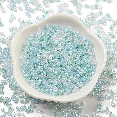 Ceylon Glass Seed Beads SEED-K009-02B-44-1