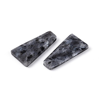 Natural Larvikite Pendants G-Q601-10A-1