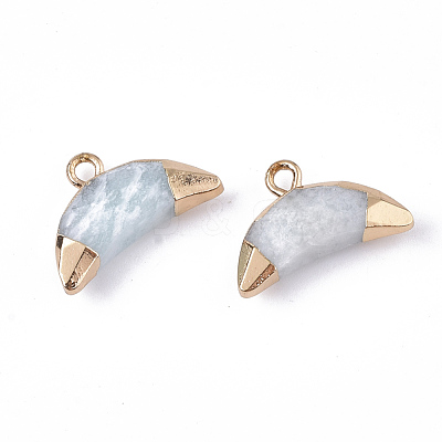 Electroplate Natural Amazonite Charms G-S344-48K-1