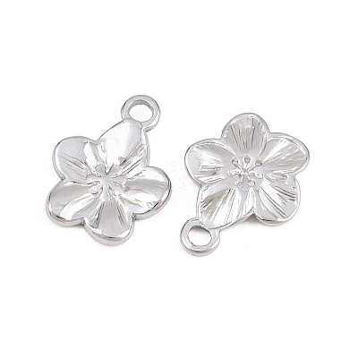 304 Stainless Steel Charms X-STAS-L317-02P-1