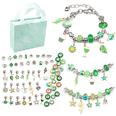 DIY European Bracelet Making Kits DIY-YWC0006-02E-1