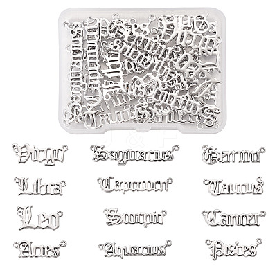24Pcs 2 Sets Zinc Alloy Jewelry Pendant Accessories FIND-FW0001-09P-1