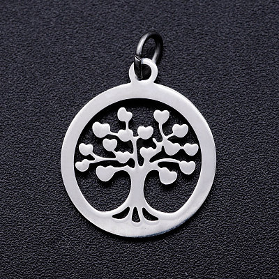 304 Stainless Steel Pendants LS-STAS-T046-JA350-1A-P-1