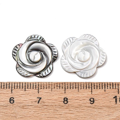 Rose Black Lip Shell Cabochons SSHEL-E553-09-1