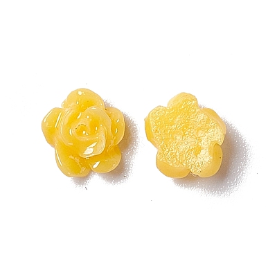 Resin Cabochons MRMJ-T046-01L-1