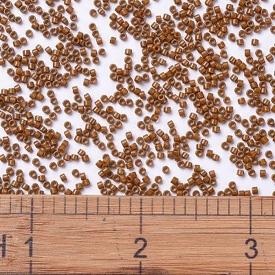 MIYUKI Delica Beads SEED-MY11-DB2109-1