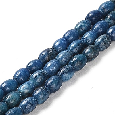 Natural Dolomite Beads Strands G-F765-A03-01-1