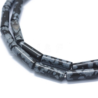 Natural Snowflake Obsidian  Beads Strands G-F631-D14-1