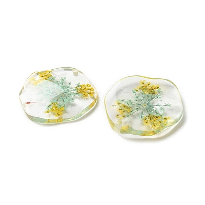 Inner Dried Flower Transparent Resin Pendants RESI-A043-04C-1
